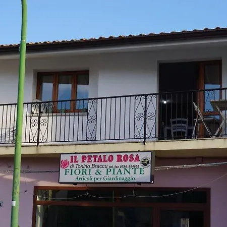 Apartament Il Gelsomino *
